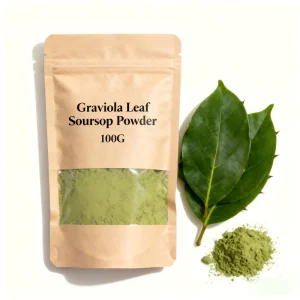 Organic Vitamin rich Herbal Soursop Leaves Fruit Super Food Extract Powder 100g Graviola Leaf Soursop Powder