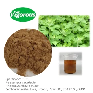 Organic Wormwood Extract Powder Wormwood Leaf Extract Wormwood Powder With Free Sample
