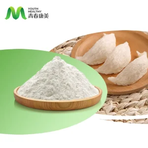 Oversea Warehouse Supply Sialic Acid