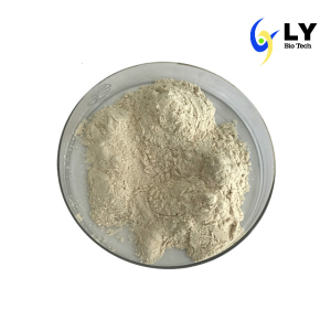 Oyster Extract Powder Oyster Peptide