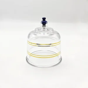 PC Material CE Certified Transparent Vacuum Cupping Therapy Single Cups Hijama Tool Pump for Body