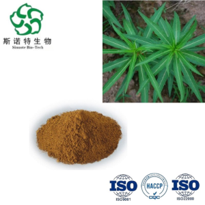 Penthorum Chinense Extract