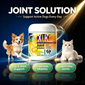 Pet Hip and Joint Supplement Glucosamine Chondroitin MSM Green Lipped Mussel Herbal Tablets for Dogs Cats Mobility Support OEM