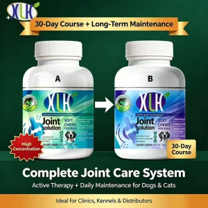 Pet Joint Care Bundle for Limping Relief and Prevention Glucosamine Chondroitin with Eucommia Drynaria Tablets Set for Dogs Cats