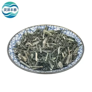 Phellodendron Extract Heat Clearing Herbal Tea Health Food Grade Spray Dried Aids in Clearing Heat Toxins & Cooling the Body