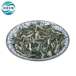 Phellodendron Extract Heat-Clearing Herbal Tea Health Food Grade Spray Dried Aids in Clearing Heat Toxins & Cooling the Body