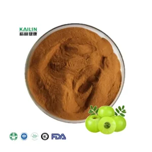 Phyllanthus Emblica Extract & Oleuropein Powder Food Grade 99% Complete Specifications Bulk Orders Welcome
