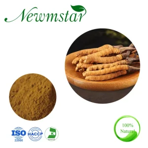 Plant Extract Cordyceps Militaris Extract Cordyceps Extract 15% 50% Polysaccharide Herbal Extract