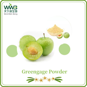 Plant Extract Water Soluble Green Plum Fruit Juice Powder Greengage Juice Powder 100% Natural Greengage Powder