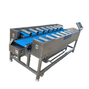 Plastic Bag Food Fruit Food Meat Fish Seafood Weighing Scale Batch Weigher Conveyor Belts Combination Weighing Equipment