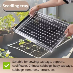 Plug Tray Seeder for Seedling Production and Nursery Use