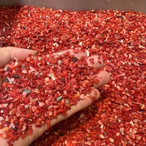 Polished Red Coral From Sardinia Italy Mediterranean Sea Waste Leftovers for Medicine Industry & Gifts Factory Corallium Rubrum