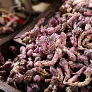 Popular Herbal Medicine Coltsfoot Flower Kuan Dong Hua for Weight Loss Remedy