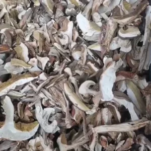 Porcini Mushroom Dried Sliced Boletus Mushroom Grade A