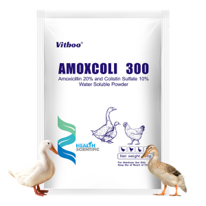 Poultry Medicine 2% Colistin Sulphate +10% Amoxycillin Soluble Powder