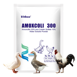 Poultry Medicine Amoxicillin Powder for Chicken and Pig
