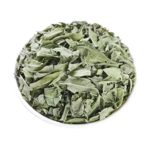 Premium Apocynum Leaves for Traditional Chinese Medicine Remedies