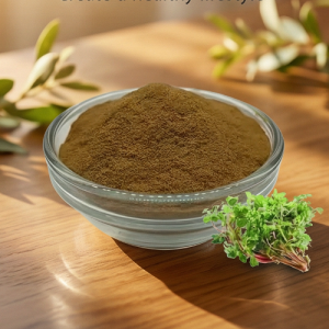 Premium Bacopa Monnieri Natural Memory Enhancer for Focus
