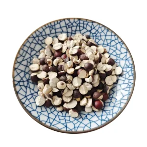 Premium Bran Stir Fried Euryale Kernels for Soup Porridge and Natural Grain Ingredient