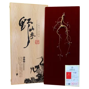 Premium Changbai Mountain Forest Grown Wild Ginseng 60cm AD Dried Raw Gift Box for Soup Tea Use