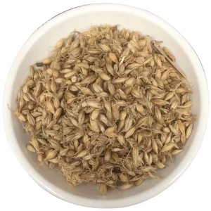 Premium Chinese Malt Tea Can Be Brewed Directly Herbal