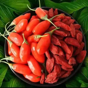 Premium Chinese Ningxia Dried Red Gojiberry (Wolfberry) Sweet FD Process Water Bulk Vacuum Pack 20kg Carton for Export
