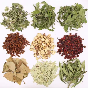 Premium Custom Bulk Herbs Mint Dandelion Licorice and More Available
