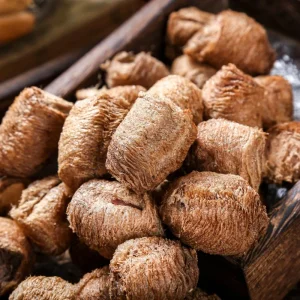 Premium Dried Chinese Herb Praying Mantis Egg Case