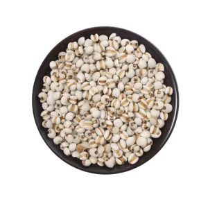 Premium Dried Coix Seed 300g Jiujiu Deng Gao Brand Yunnan Kunming Origin Raw Material for Daily Health Food