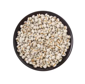 Premium Dried Coix Seed 300g Yunnan Kunming Origin Raw Material for Daily Health Food