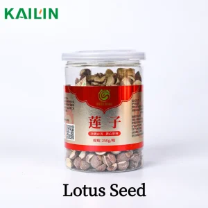 Premium Dried Lotus Seed Nourish Heart & Soothe Nerves Lotus Seed