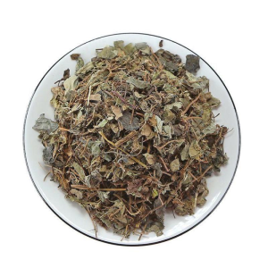 Premium Dried Lysimachiae Herb Herbal Medicine Jin Qian Cao for Natural Liver Wellness Support