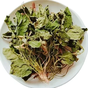 Premium Dried Plantain Herb 100% Natural Plantago Asiatica Herbal OEM