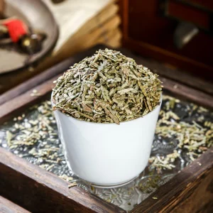 Premium Dried Platycladi Cacumen Chinese Herbal Remedy for Wellness