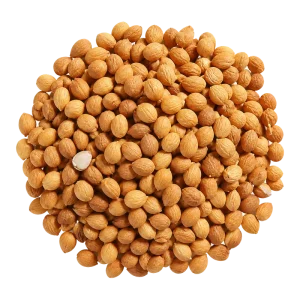 Premium Dried Pruni Kernels for Herbal Tea and Natural Food Processing Culinary Ingredient