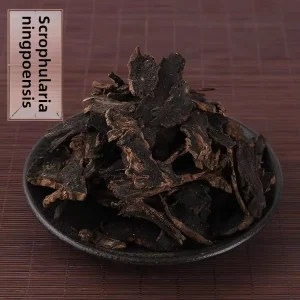 Premium Dried Scrophularia Ningpoensis Root (Xuan Shen) for Heat Clearing & Detox TCM Herb Bulk OEM ODM