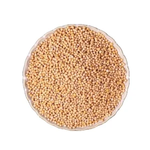 Premium Dried White Mustard Seeds 100% Natural Sinapis Alba OEM