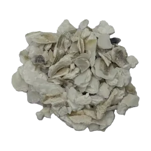 Premium Factory Direct Raw Oyster Shell for Brewing Tea or Adding to Soups and It Supports Healthy Digestion