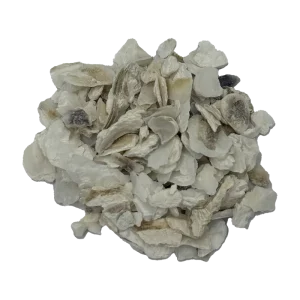 Premium Factory Direct Raw Oyster Shell for Brewing Tea or Adding to Soups and It Supports Healthy Digestion