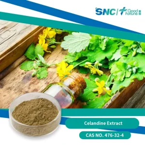 Premium Food Grade Celandine Extract with Kosher Halal Certified Plant Supplement