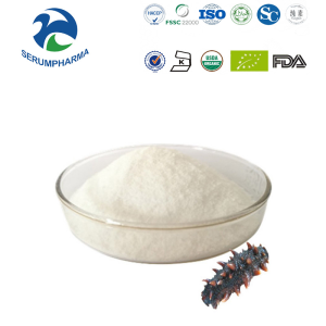 Premium Food Grade Sea Cucumber Peptide for Enhanced Energy