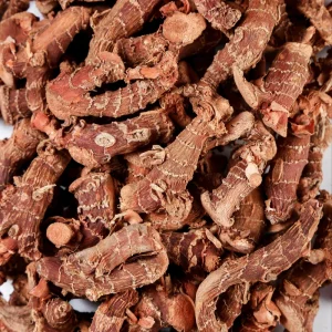 Premium Galangal Root for Traditional Chinese Wellness Solutions