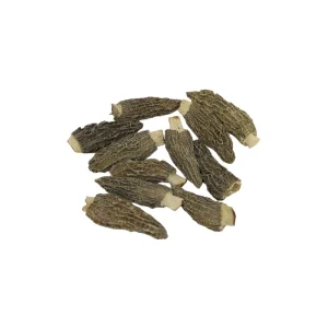 Premium Grade Harvest Morel Mushrooms 5 8cm Dried Morels Morchella Esculenta