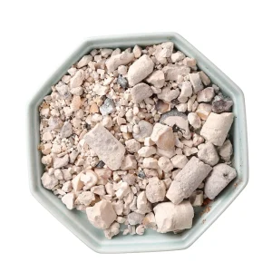 Premium Herbal Pure Tian Zhu Huang Bambusae Tabasheer for Medicine