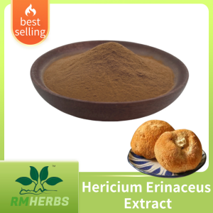Premium Lion’s Mane Mushroom Extract for Brain Support