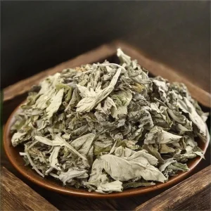 Premium Mugwort Leaf Natural Herbal Medicine Artemisiae Argyi for Natural Wellness