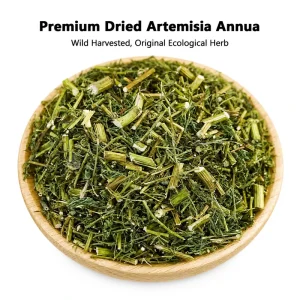 Premium Natural Dried Sweet Wormwood Bulk 100% Pure Artemisia Annua Qing Hao for Healthy Herbal Tea Ingredients
