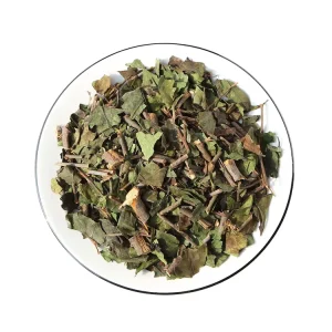 Premium Natural Loranthus Parasiticus Mulberry Mistletoe Dried Herbal Tea Loose TCM Herb Sang Ji Sheng for Supplement