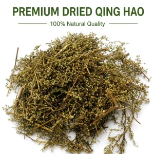 Premium Organic Dried Qing Hao Bulk Natural Artemisia Annua Sweet Wormwood Herb for Healthy Tea & Soup Cooking OEM