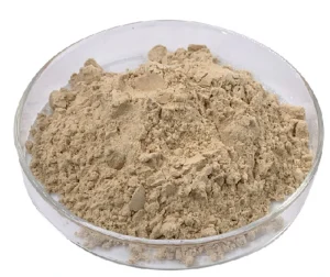 Premium Panax Ginseng Root Powder with 80% Ginsenosides
